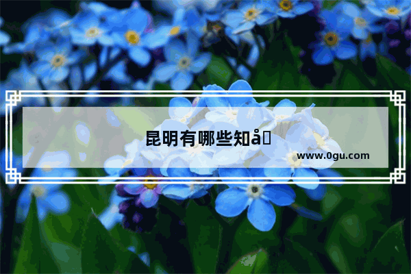 昆明有哪些知名外企