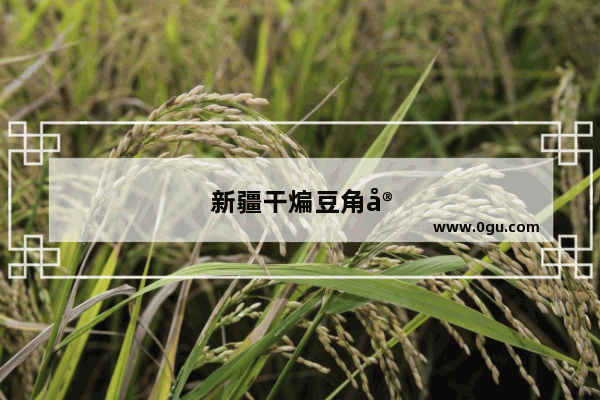 新疆干煸豆角家常做法