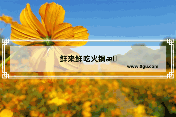 鲜来鲜吃火锅怎么样