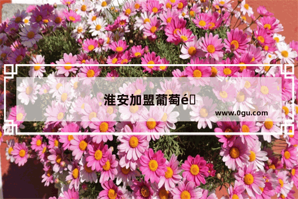 淮安加盟葡萄酒店多少钱一个月