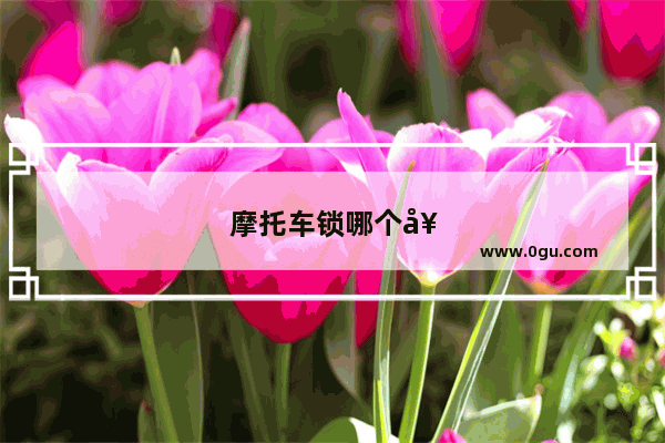 摩托车锁哪个好