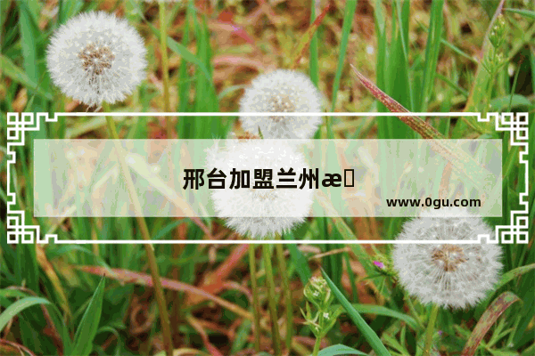 邢台加盟兰州拉面怎么样啊