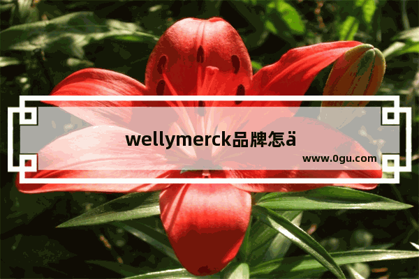 wellymerck品牌怎么样