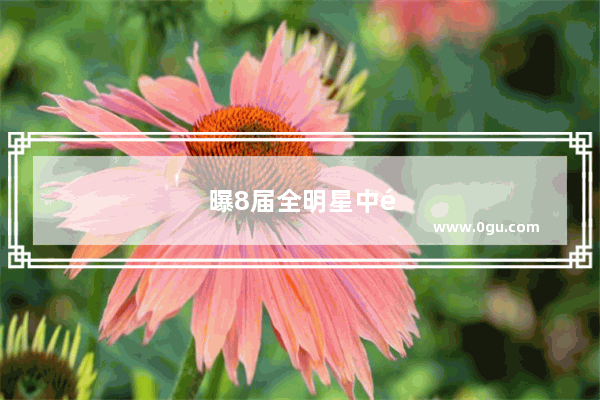 曝8届全明星中锋霍华德正在寻求买断并想加盟快船 球迷说复仇者联盟来了 你怎么看