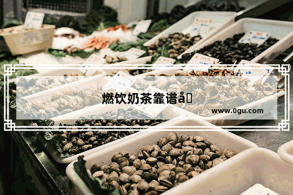 燃饮奶茶靠谱吗