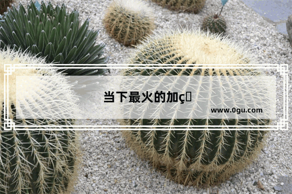 当下最火的加盟店小吃有哪些