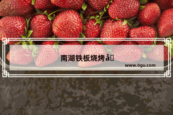 南湖铁板烧烤加盟店排行榜前十名