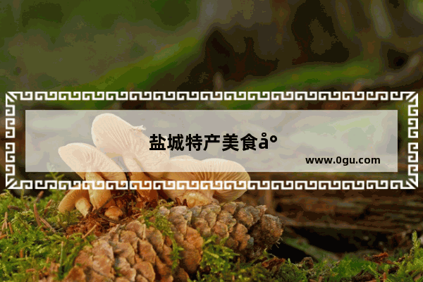 盐城特产美食小吃零食加盟店