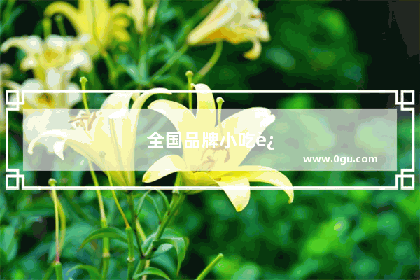 全国品牌小吃连锁店加盟排名