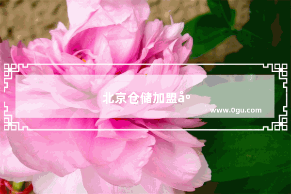 北京仓储加盟店排行榜最新消息