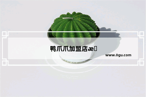 鸭爪爪加盟店排行榜