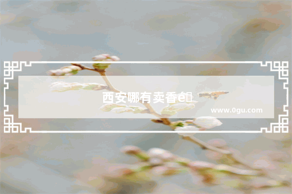 西安哪有卖香锅料