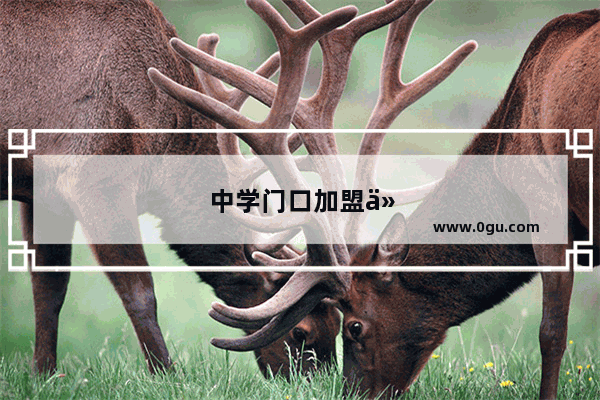 中学门口加盟什么店好