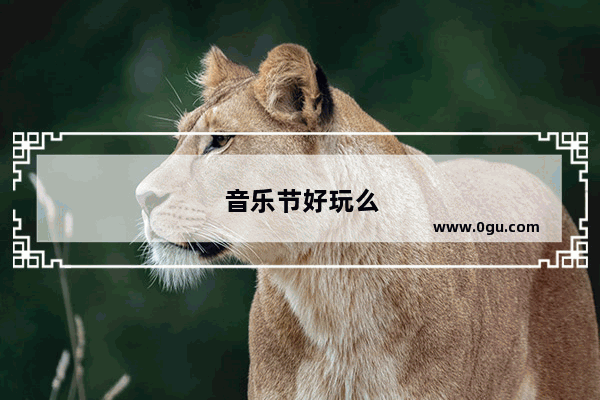音乐节好玩么