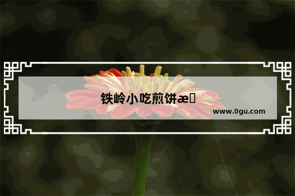 铁岭小吃煎饼果子加盟排行榜