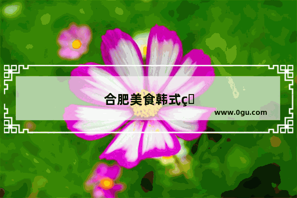 合肥美食韩式炸鸡加盟店