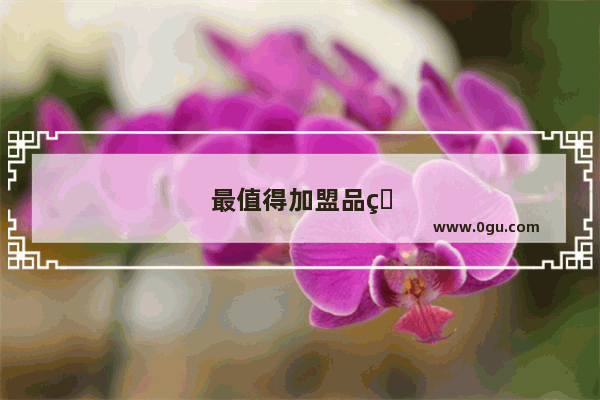 最值得加盟品牌酒店有哪些