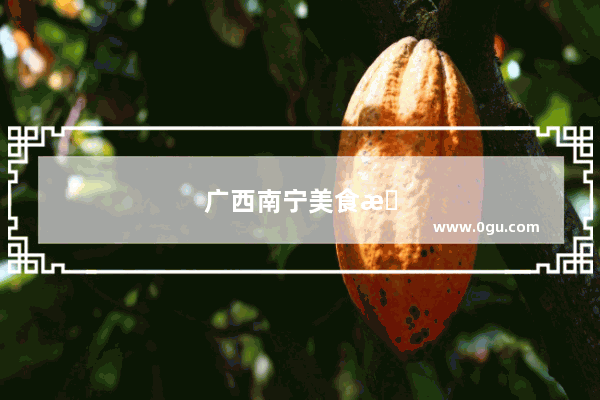 广西南宁美食探店烤肉加盟电话