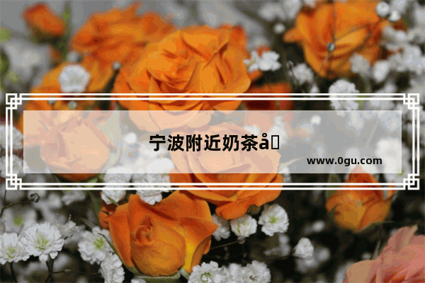 宁波附近奶茶品牌加盟店