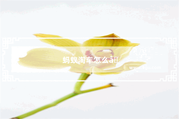 蚂蚁淘车怎么加盟代理