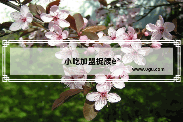 小吃加盟捉腰记