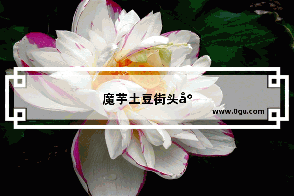 魔芋土豆街头小吃店加盟费多少