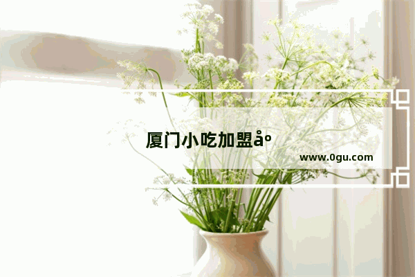 厦门小吃加盟店政策