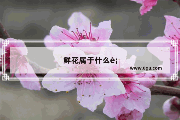 鲜花属于什么行业