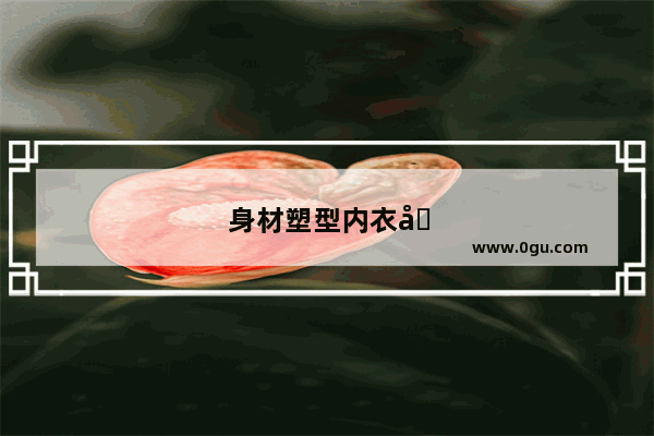 身材塑型内衣加盟店排行榜