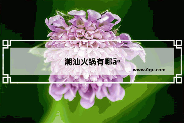 潮汕火锅有哪些