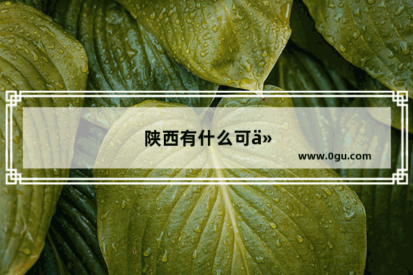 陕西有什么可以加盟的小吃店