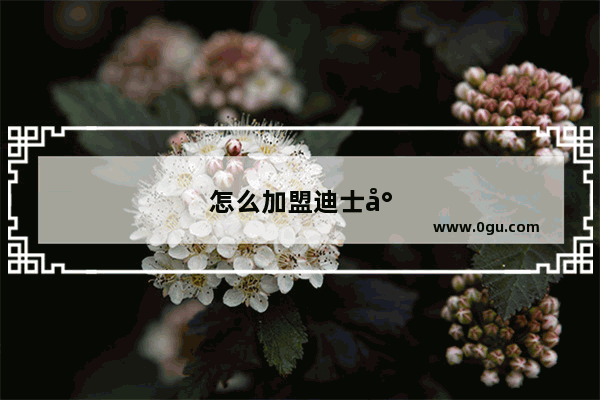 怎么加盟迪士尼专卖店