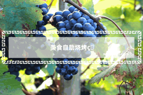 美食自助烧烤火锅加盟店