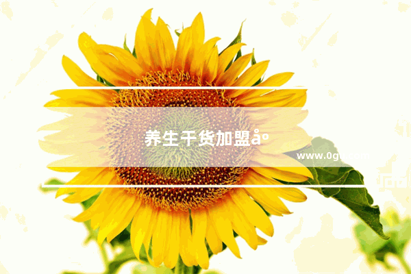 养生干货加盟店排行榜前十名