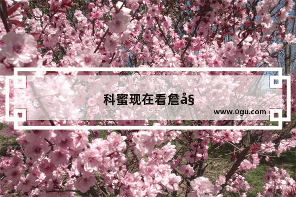 科蜜现在看詹姆斯 湖人 还是鹈鹕三少 还是上船了