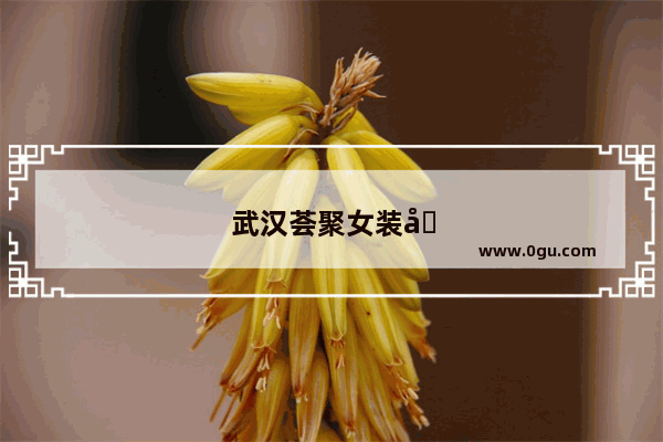 武汉荟聚女装品牌有哪些