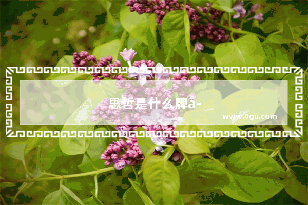 思哲是什么牌子
