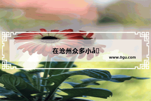 在沧州众多小吃中挑一样最爱吃的 你会选哪个？它带给你的回忆是什么