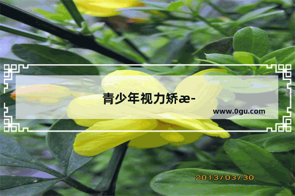 青少年视力矫正加盟行业应该选哪个品牌
