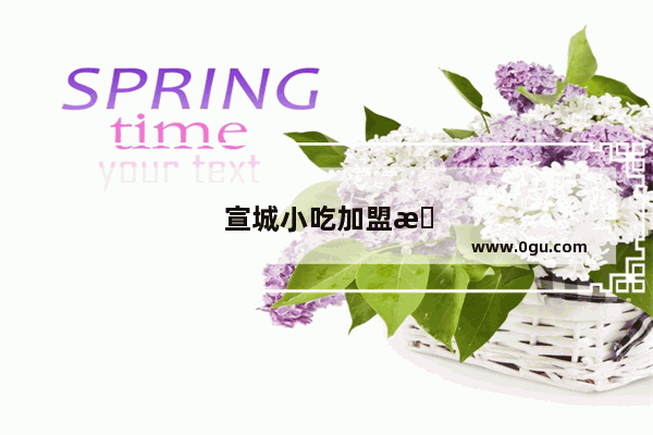 宣城小吃加盟排行榜前十名
