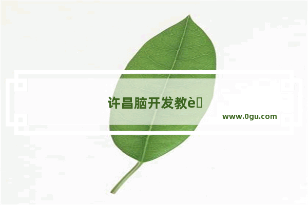 许昌脑开发教育加盟怎么样