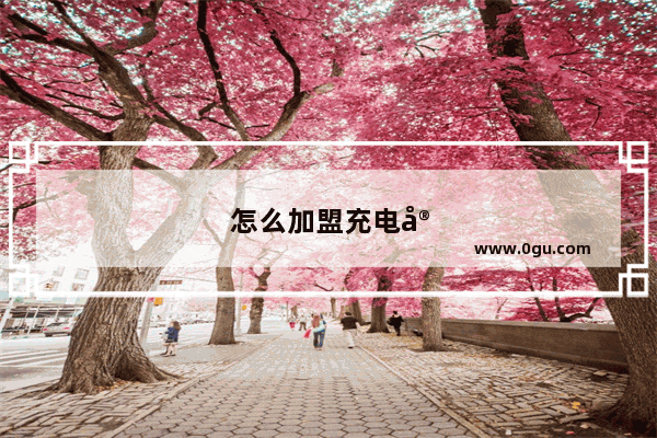 怎么加盟充电宝公司赚钱