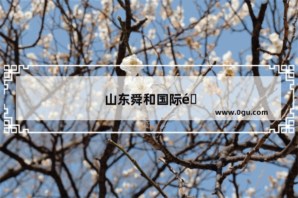 山东舜和国际酒店的介绍