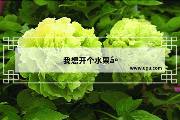 我想开个水果店 哪位大神给指导一下 或者给介绍个加盟商