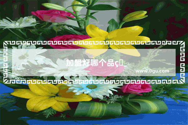 加盟灯哪个品牌好一点