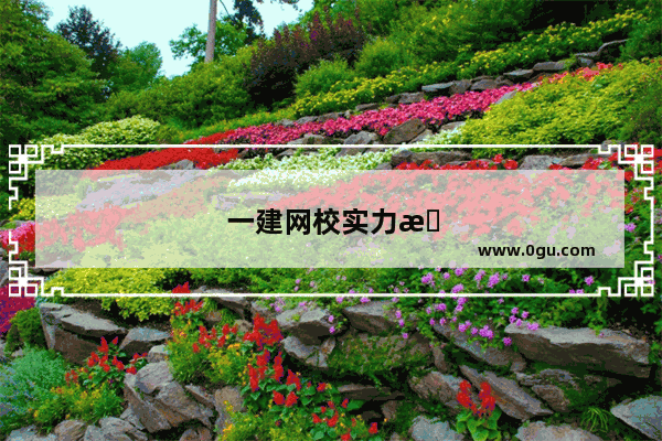 一建网校实力排名