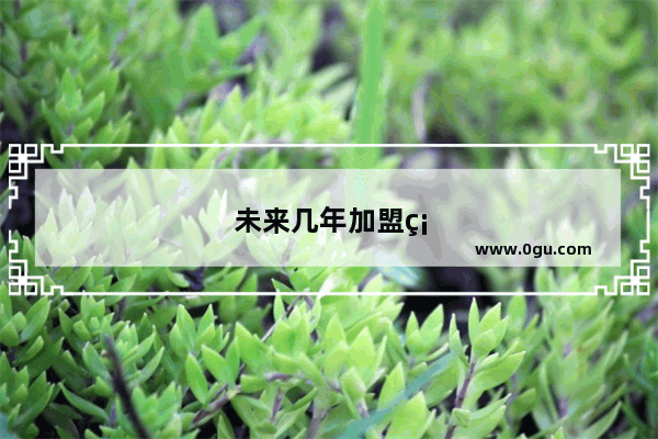 未来几年加盟硅藻泥行业前景怎么样