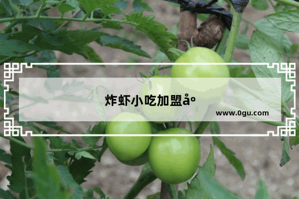 炸虾小吃加盟店