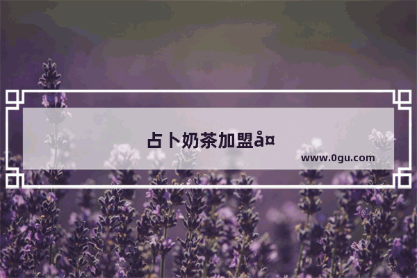 占卜奶茶加盟多少钱
