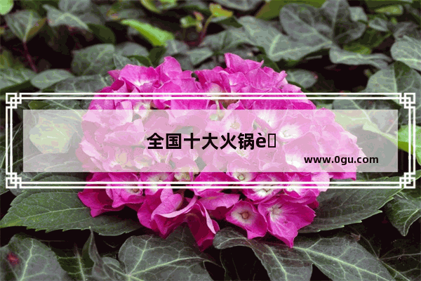 全国十大火锅菜品排名